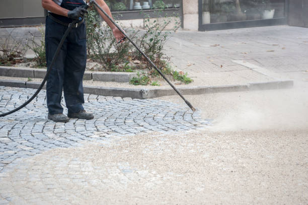 Best Animal Enclosure Cleaning  in Middlebury, IN