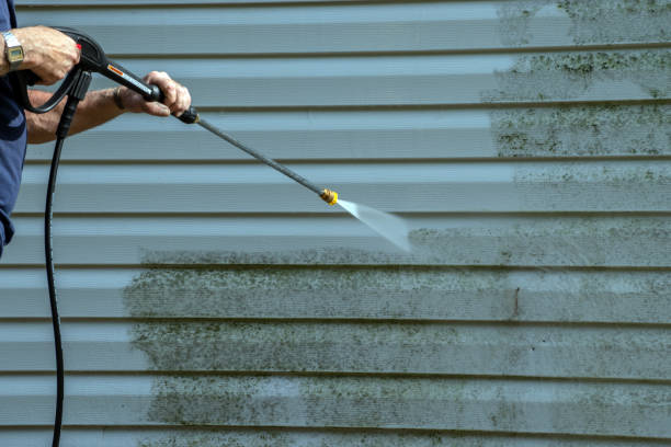 Best Roof Washing  in Middlebury, IN